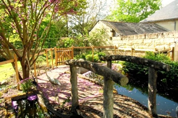 15   jardin japonais 