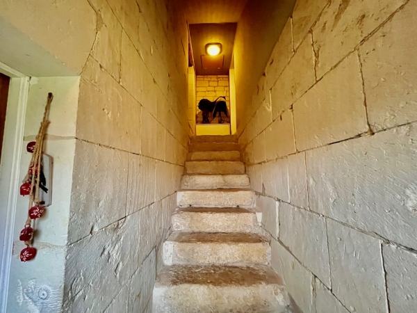 img 0459 